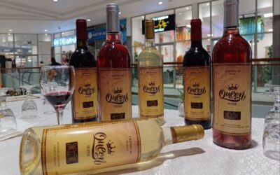 Les secrets de la vinification à base d’ananas et d’oseille : une innovation gustative made in DK Queen