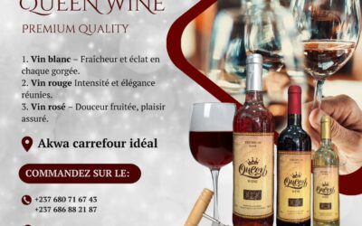 Accords mets et vins : sublimez vos plats avec nos vins d’ananas et d’oseille